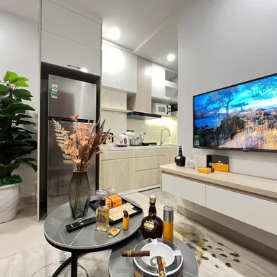 Deluxe One-Bedroom Apartment — Cygnus Residence Ha Noi 177